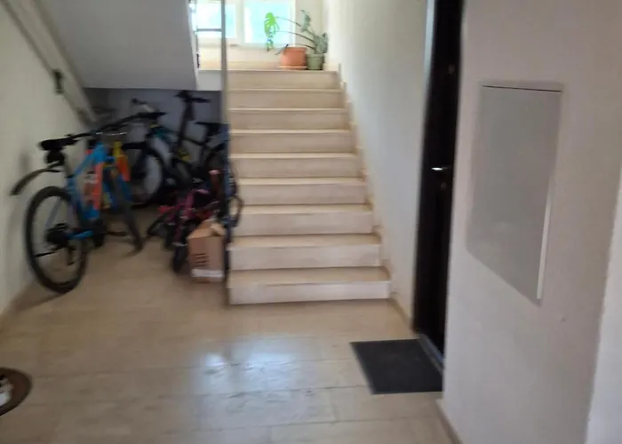 Parc Romanescu 4 Locuri-2 Familii *