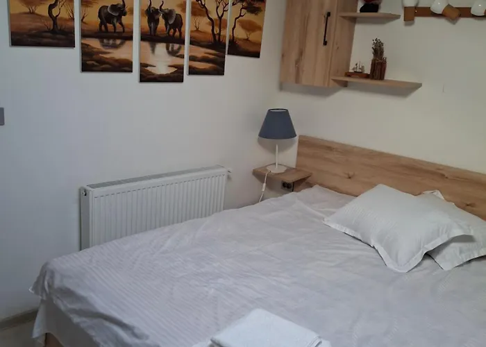 Parc Romanescu 4 Locuri-2 Familii * Craiova